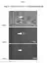 Fig. 06 - IDENTIFICATION OF T CELL TARGET ANTIGENS