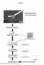 Fig. 07 - IDENTIFICATION OF T CELL TARGET ANTIGENS