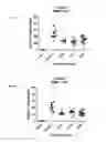 Fig. 04 - MicroRNA compounds and methods for modulating miR-21 activity