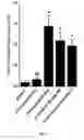 Fig. 07 - Antiviral agent comprising RNA oligonucleotide