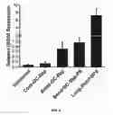 Fig. 09 - Antiviral agent comprising RNA oligonucleotide