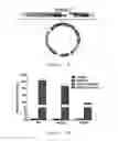 Fig. 06 - Method for inhibiting Ebola virus via miRNA