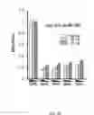 Fig. 03 - Multiplexed shRNAs and uses thereof