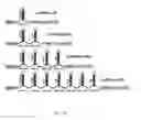 Fig. 04 - Multiplexed shRNAs and uses thereof