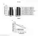 Fig. 04 - SCN8A splice modulating oligonucleotides and methods of use thereof