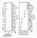 Fig. 07 - Compositions and methods for biocontainment of microorganisms