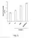Fig. 06 - Modified Cyanobacteria for Producing Carotenoids