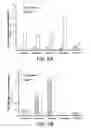 Fig. 07 - Modified Cyanobacteria for Producing Carotenoids