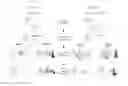 Fig. 02 - DNA-linked enzyme-coupled assays