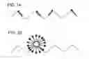 Fig. 02 - SPHERICAL NUCLEIC ACIDS (SNA) FLARE BASED FLUORESCENCE IN SITU HYBRIDIZATION