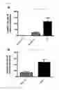Fig. 06 - A CIRCULATING NON-CODING RNA AS PREDICTOR OF MORTALITY IN PATIENTS WITH ACUTE KIDNEY INJURY