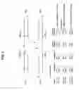 Fig. 03 - METHODS AND APPLICATIONS OF GENE FUSION DETECTION IN CELL-FREE DNA ANALYSIS