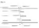 Fig. 09 - METHODS AND APPLICATIONS OF GENE FUSION DETECTION IN CELL-FREE DNA ANALYSIS