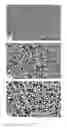 Fig. 08 - Gold-based metallic glass matrix composites