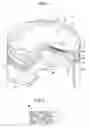Fig. 02 - METHOD FOR MANUFACTURING PISTON FOR INTERNAL COMBUSTION ENGINE AND FRICTIONAL HOLE SEALING DEVICE FOR PISTON FOR INTERNAL COMBUSTION ENGINE