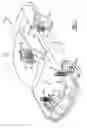 Fig. 02 - Shock absorber having check disc for orifice passage
