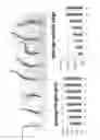 Fig. 09 - Quality control marker and its use in cordyceps species authentication