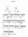 Fig. 02 - Phosphorothioate DNAzyme complexes and use thereof