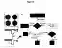 Fig. 05 - Phosphorothioate DNAzyme complexes and use thereof