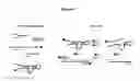 Fig. 08 - Phosphorothioate DNAzyme complexes and use thereof