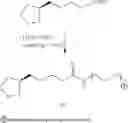 Fig. 09 - Method for the immobilization of biomolecules
