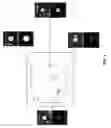 Fig. 03 - CIRCULATING TUMOR CELL DIAGNOSTICS FOR THERAPY TARGETING PD-L1