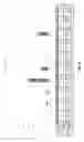 Fig. 10 - CIRCULATING TUMOR CELL DIAGNOSTICS FOR THERAPY TARGETING PD-L1