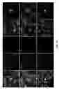 Fig. 13 - CIRCULATING TUMOR CELL DIAGNOSTICS FOR THERAPY TARGETING PD-L1