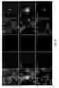 Fig. 14 - CIRCULATING TUMOR CELL DIAGNOSTICS FOR THERAPY TARGETING PD-L1