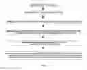 Fig. 02 - METHODS AND DEVICES FOR DETERMINING A DISEASE STATE