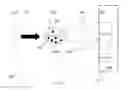Fig. 04 - METHODS AND DEVICES FOR DETERMINING A DISEASE STATE
