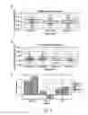Fig. 04 - Subcellular western blotting of single cells