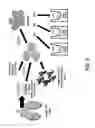 Fig. 08 - Epithelial cell spheroids and methods of making and using the same