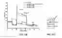 Fig. 22 - Epithelial cell spheroids and methods of making and using the same