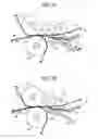 Fig. 08 - Image forming apparatus with a support to adjust a rotator and a guide