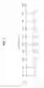Fig. 08 - Terminal, controlling method thereof and recordable medium for the same