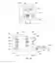 Fig. 07 - Method for establishing a functional relationship between input and output functions