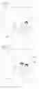 Fig. 08 - Device and method of controlling the device