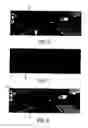 Fig. 06 - Generating a virtual world to assess real-world video analysis performance