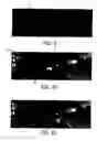 Fig. 07 - Generating a virtual world to assess real-world video analysis performance
