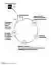 Fig. 02 - Optimization System and Method for Chat-Based Conversations