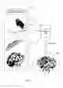 Fig. 06 - System and method for providing assistance in surgery in presence of tissue deformation
