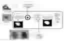 Fig. 01 - Structure-preserving composite model for skin lesion segmentation
