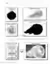 Fig. 01 - Appearance transfer techniques maintaining temporal coherence