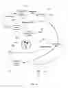 Fig. 17 - Integrated gambling process for games with explicit random events