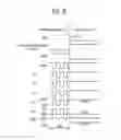 Fig. 08 - Display driver integrated circuit and display system including the same
