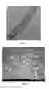 Fig. 02 - Conductive resin composition and plastic molded product using the same
