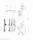 Fig. 04 - Method and apparatus for the analysis of molecules using mass spectrometry and optical spectroscopy