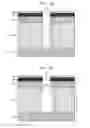 Fig. 15 - Reactive ion etching assisted lift-off processes for fabricating thick metallization patterns with tight pitch