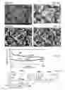 Fig. 07 - Self-assembly pattering for fabricating thin-film devices